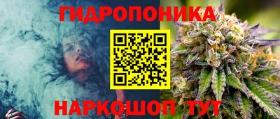 сатива Краснокаменск