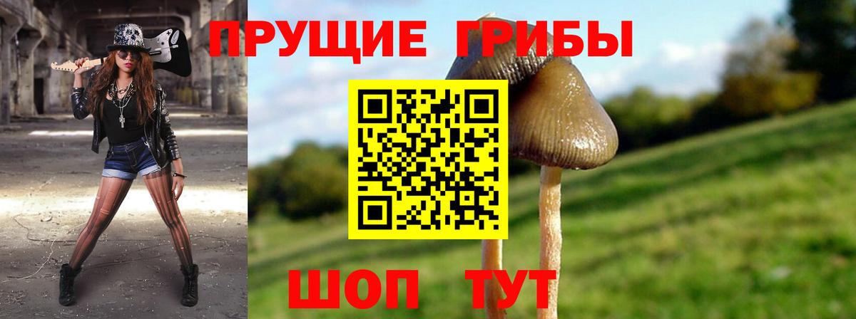 Галлюциногенные грибы ЛСД  Вход с VPN  Галлюциногенные грибы Magic Shrooms  Карпинск 